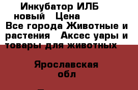 Инкубатор ИЛБ-0,5 новый › Цена ­ 35 000 - Все города Животные и растения » Аксесcуары и товары для животных   . Ярославская обл.,Переславль-Залесский г.